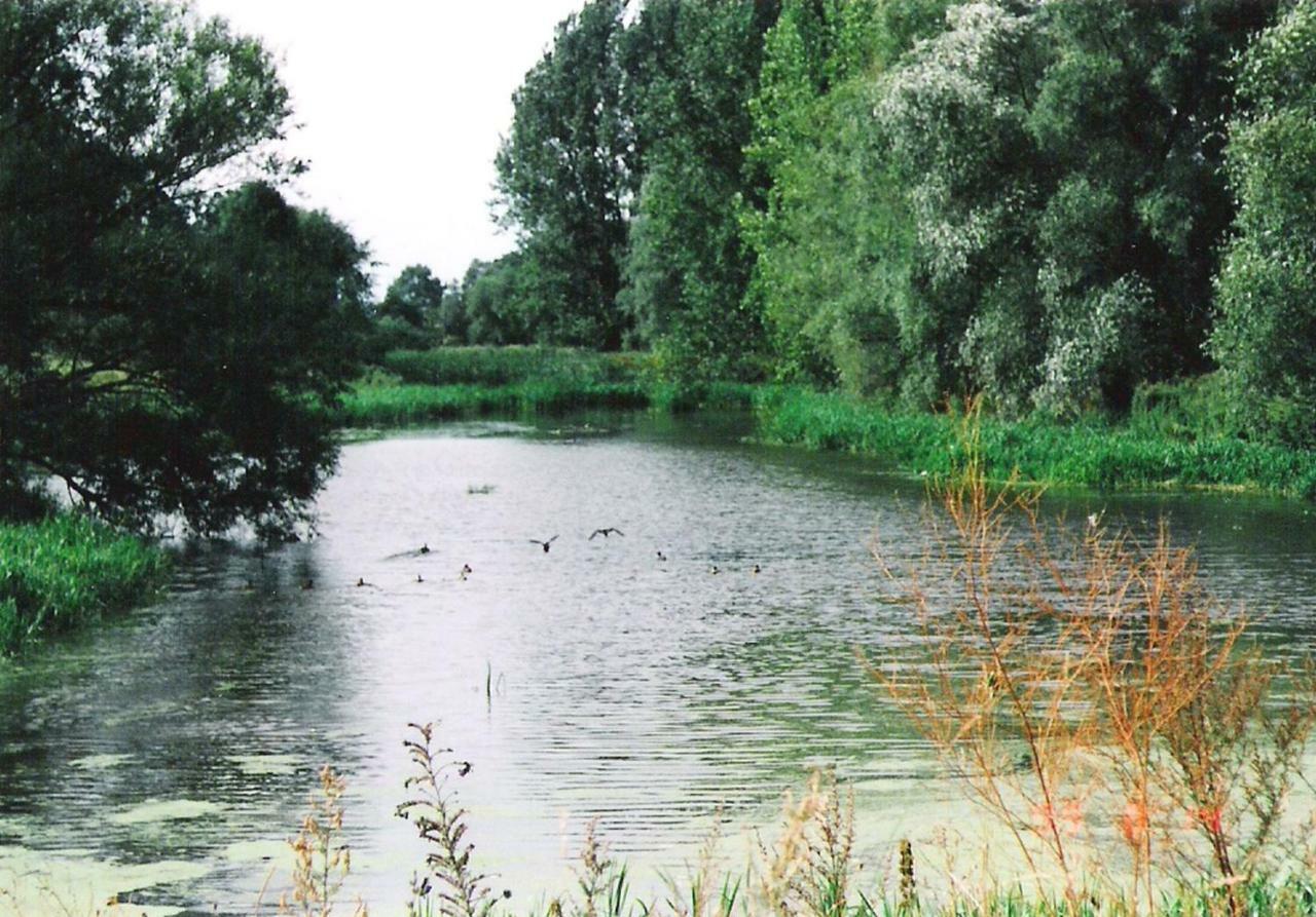Star Camp Cosa, Ferienwohnungen, Camping, Schlaffaesser Friedland  المظهر الخارجي الصورة